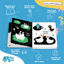 Ditty Bird - Ditty Bird : Black and White Sound book - New born-Book-Paris Pink & Cowboy Blue Baby Boutique