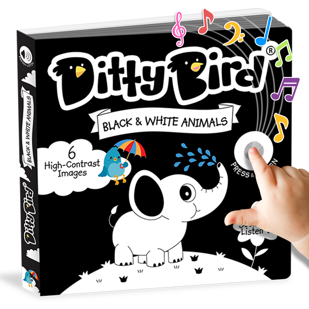 Ditty Bird - Ditty Bird : Black and White Sound book - New born-Book-Paris Pink & Cowboy Blue Baby Boutique